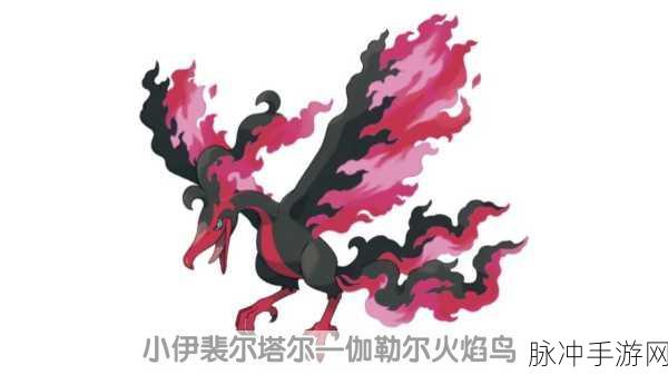 宝可梦剑盾，伽勒尔火焰鸟性格及携带物品深度解析