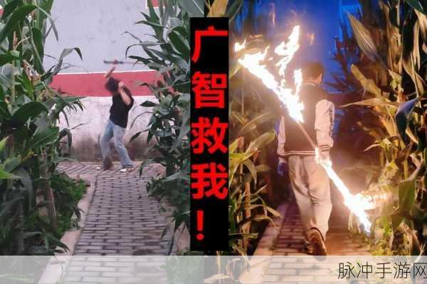 重温经典救人情怀,救救糟老头手游等你来战