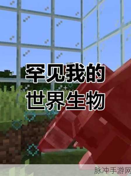 探索我的世界十大传说生物，开启奇幻冒险之旅