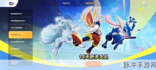 宝可梦大集结,解锁对战道具奥秘,制胜策略全揭秘