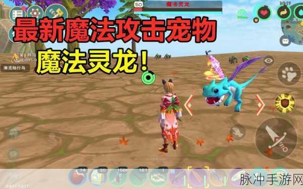 创造与魔法幻龙攻击资质深度解析