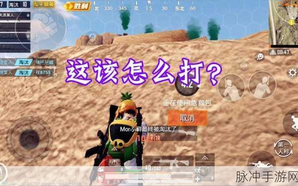 和平精英深度揭秘,窥探他人资料,真会无痕吗?