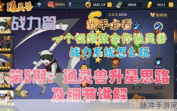 火影忍者手游深度探索，佐井通灵兽搭配秘籍，打造你的战斗巅峰