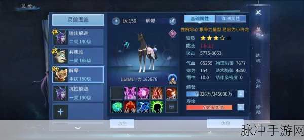 倩女幽魂手游深度解析,画魂与方士谁更胜一筹?