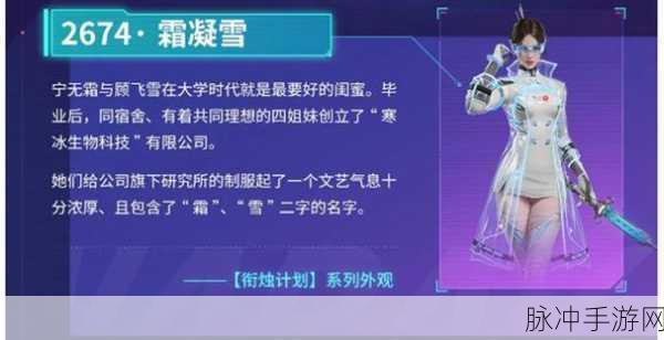 永劫无间2674霜凝雪皮肤深度解析，珍稀外观价格大揭秘
