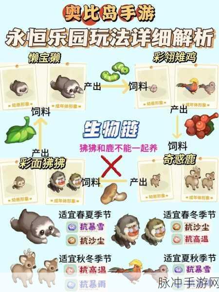 奥比岛深度探索，奥比圈位置与功能全揭秘