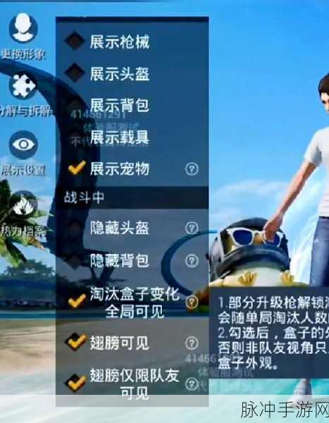 和平精英隐藏头盔技巧揭秘，打造你的低调战术风格