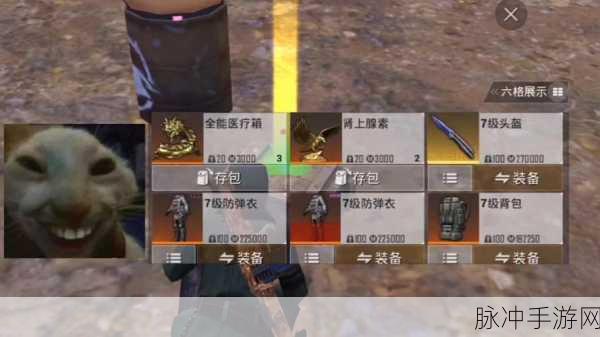 和平精英隐藏头盔技巧揭秘,打造你的低调战术风格