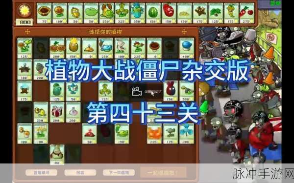 植物大战僵尸43关通关秘籍，策略与技巧并重