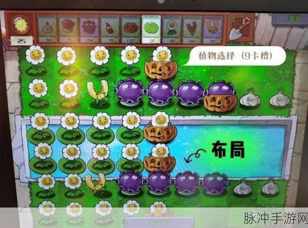 植物大战僵尸2，揭秘金币最多的关卡与高效刷金策略