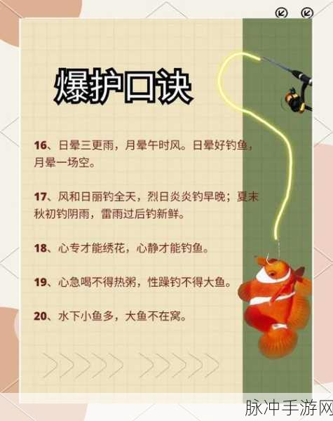 垂钓之乐,尽在指尖——疯狂钓鱼最新下载全解析