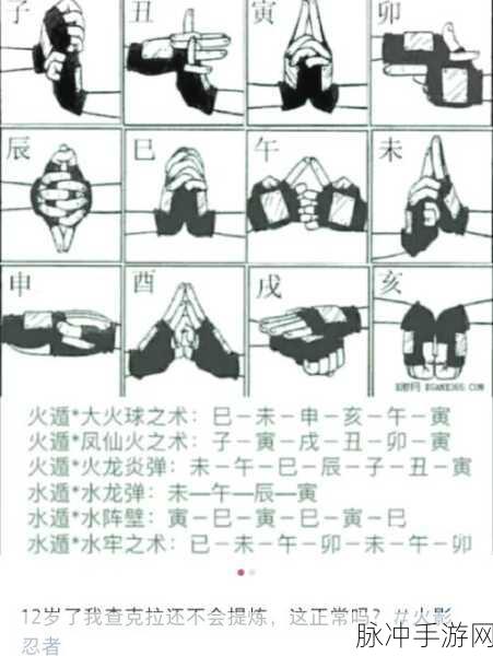火影忍者雷影忍术全揭秘,力量与技巧的完美融合