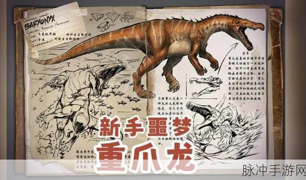 方舟中期，龙宠选择大揭秘——迈向生存高手的必经之路