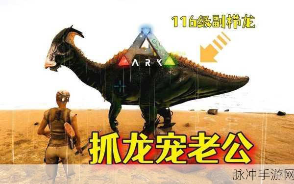 方舟中期,龙宠选择大揭秘——迈向生存高手的必经之路