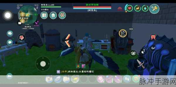 探秘创造与魔法,骆驼的饮食之谜大揭秘