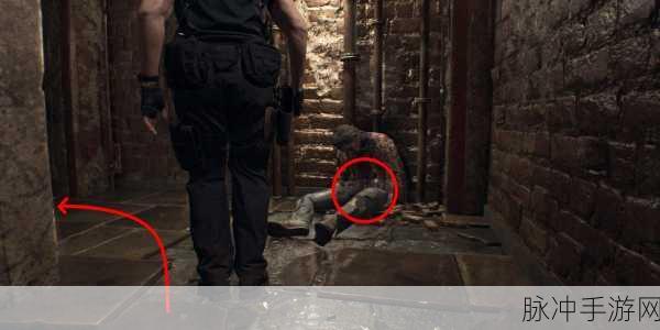 生化危机启示录2第四章，揭秘最终章的生死较量