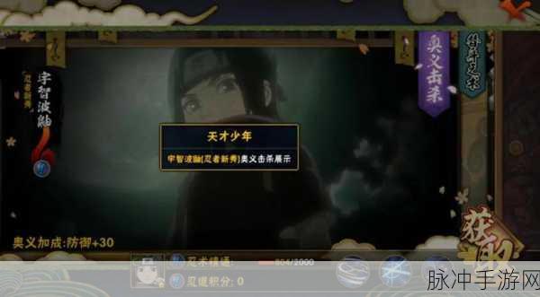 火影忍者手游忍者新秀鼬实战攻略