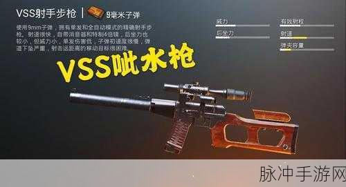 刺激战场步枪伤害大揭秘,谁才是伤害之王?