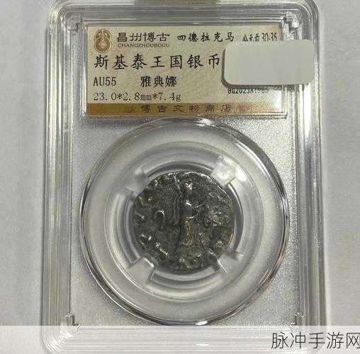 冰原守卫者，古银币的奥秘与高效管理艺术