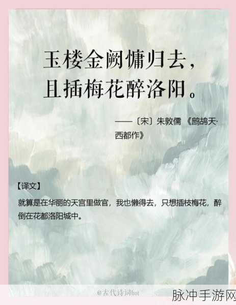 烟雨江湖忘忧阁寻觅指南,探索洛阳烟波楼的秘密角落