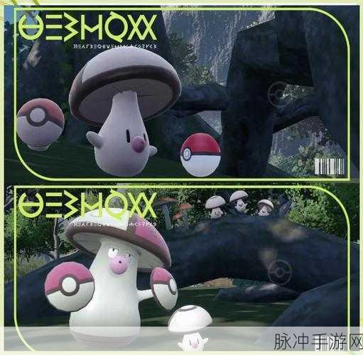 宝可梦朱紫,探索发现宝可梦蛋的奇妙时刻