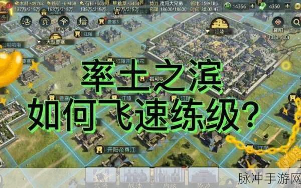 率土之滨新区四天登顶秘籍,新手玩家的光速冲榜之旅