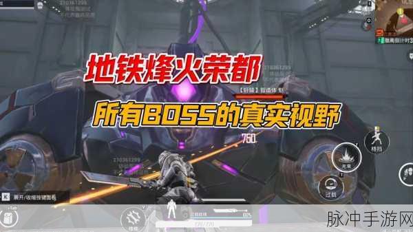 和平精英疾锋精英皮肤市场价格大揭秘，你的钱包准备好了吗？