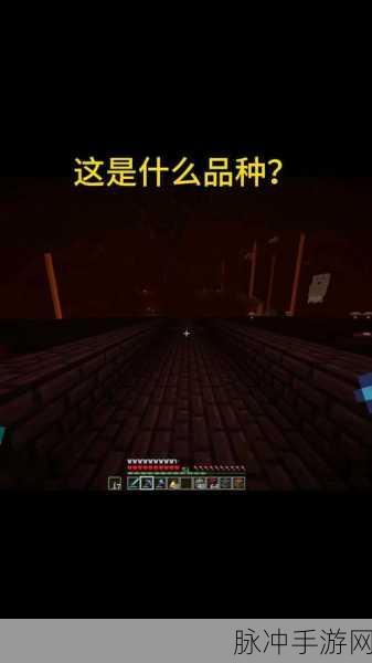 我的世界恶魂哭泣之谜，探寻背后的故事