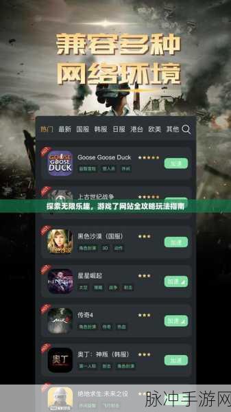 畅游游戏relief，解锁攻略秘籍，登顶游戏巅峰！