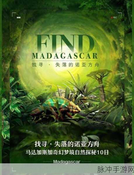探秘未知领域,在失落方舟中追寻微光价值的奇幻冒险
