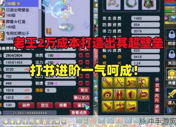 梦幻西游无双2,深度探索经验宝藏与活动秘籍