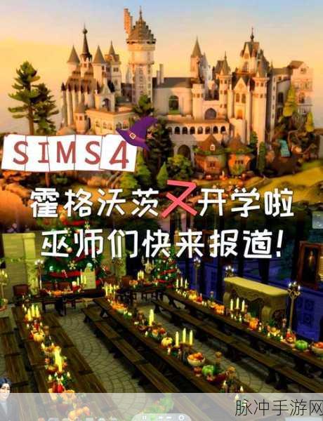 哈利波特，魔法世界的永恒魅力，揭秘风靡全球之谜