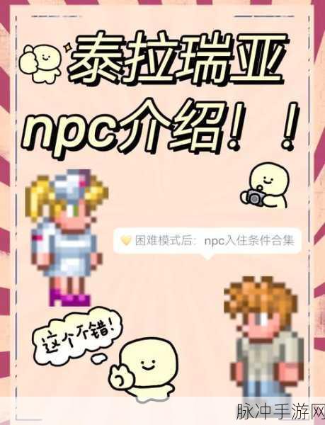 泰拉瑞亚NPC房子建造全攻略，满足你的小伙伴入驻条件