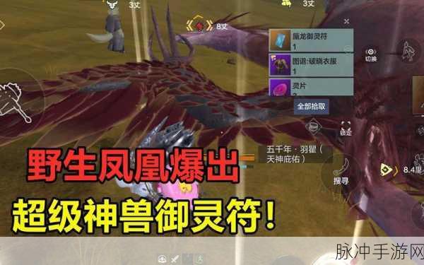 妄想山海御灵符全攻略，解锁神兽召唤新篇章