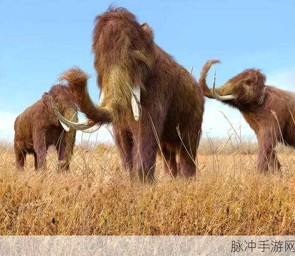 剑与魔法世界的守护神兽，魔灵猛犸象全解析