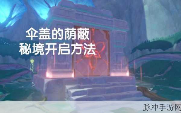 原神伞盖的荫蔽,解锁秘境的终极攻略与隐藏技巧