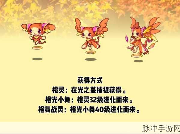 洛克王国七彩圣灵盾，深度解析与实战体验