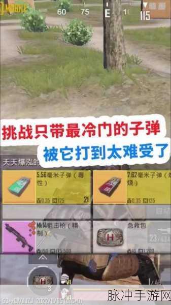 地铁逃生，子弹属性深度剖析与实战应用