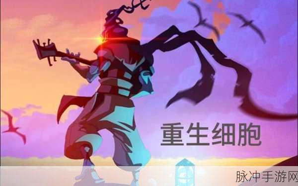 重生细胞,威力卷轴升级色彩之谜,解锁战斗新境界