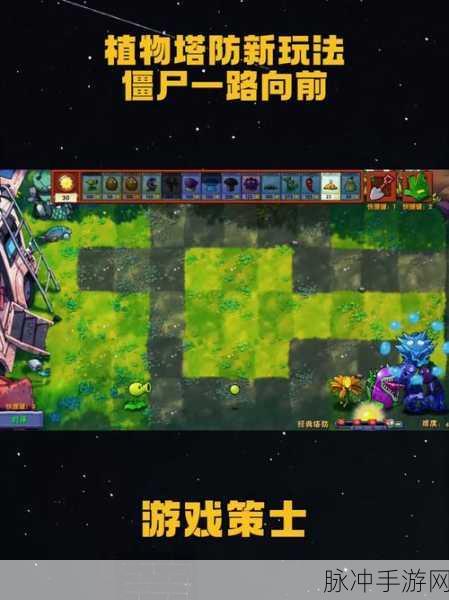 植物大作战安卓版来袭,卡通策略塔防新体验