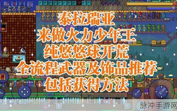 泰拉瑞亚悠悠球获取全攻略，解锁多样获取秘籍