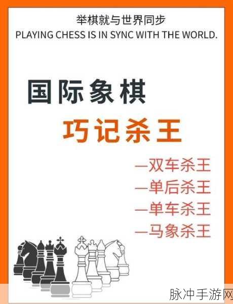国际象棋王者之舞，揭秘国王的走法图解