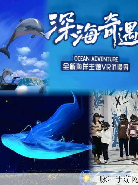 大航海奇遇，解锁海洋动物宝藏图的奇幻之旅
