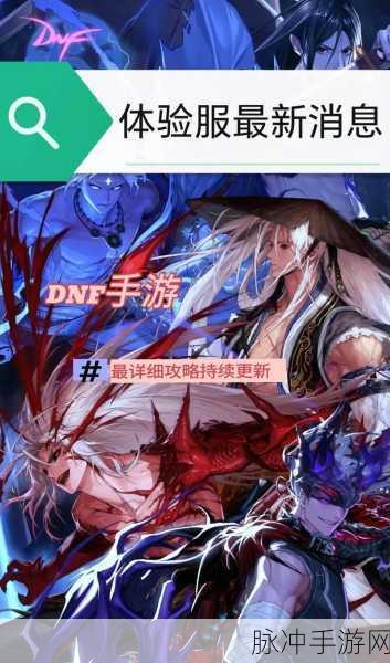 DNF职业大比拼,揭秘升级飞速与刷图无忧的王者之道