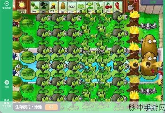 植物大战僵尸原版微信代码，解锁全新冒险，角色与关卡大揭秘