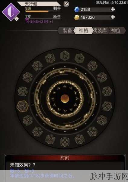 不朽之旅,时间之石高效获取与全面攻略指南