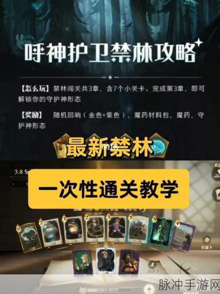 哈利波特,魔法觉醒护神护卫第三章通关秘籍