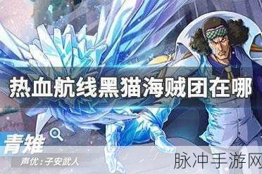 航海王热血航线，揭秘黑猫海贼团神秘位置