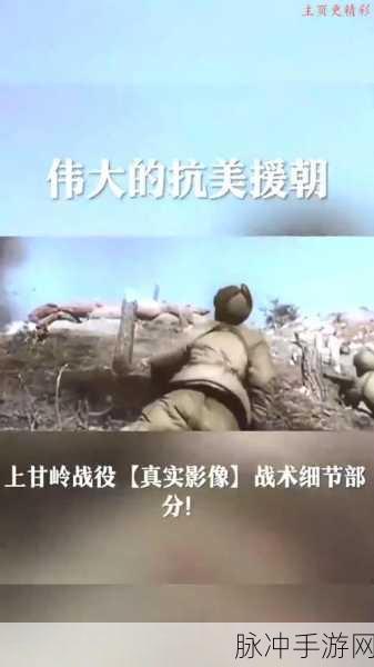 K神青玉萨卡组深度解析,搭配与战术全揭秘