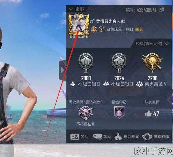 和平精英账号被登,原号主如何寻回?
